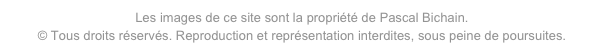 Les images de ce site sont la propriété de Pascal Bichain.
© Tous droits réservés. Reproduction et représentation interdites, sous peine de poursuites.